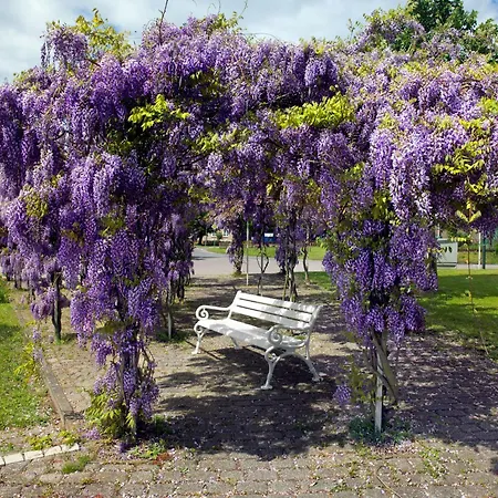 Am Krabbenweg Whg.1 Im Haus Am Krabbenweg Lejlighed *